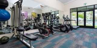 Camino Real Gallery 22