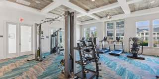 Hudson Carolina Forest Gallery 21