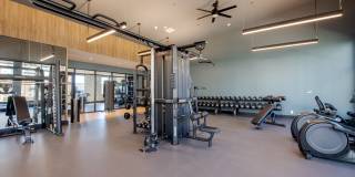 Taryn at 401 Gallery 17