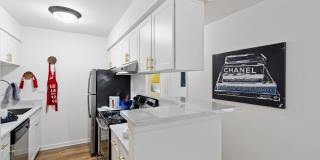 Arlington Heights Gallery 19