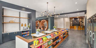 Ellison Museum District Gallery 22