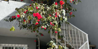 LUXURY LIVING AT AN AFFORDABLE PRICE Gallery 9