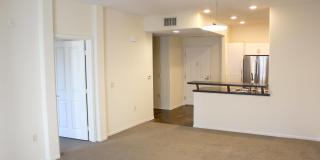 Torrey Gardens Gallery 21