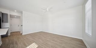 Area Gallery 7