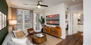 Town Kennesaw Gallery 44