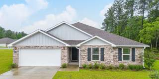 10519 Willow Leaf Drive Gallery 1