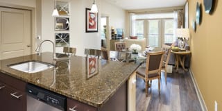 Domain College Park Gallery 12