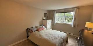 2 Bedroom 2 Bathroom + Parking and Storage! Gallery 12
