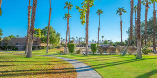 28984 Desert Princess Drive Gallery 13