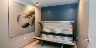 Tanager Echo Gallery 40