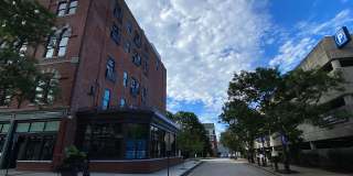 Red Oak at 83 Hanover Street Gallery 22