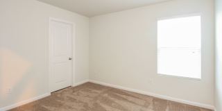127 Dorian Loop Gallery 11