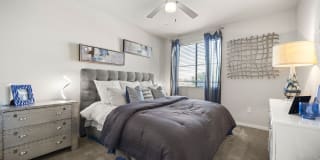 Olympus Steelyard Gallery 4