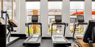 Independence in Dixon Gallery 29