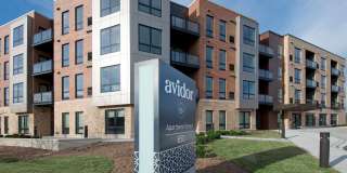 Avidor Glenview Gallery 1
