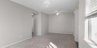 Avery at TownCentre Gallery 95