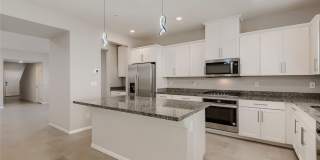 10790 Wild Parsley Avenue Gallery 8