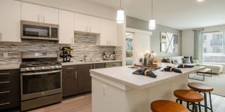 Vive on the Park Gallery 1