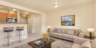 Uptown Queen Anne Gallery 13