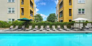 Palomar Station Gallery 21