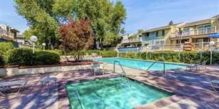 3514 Birchwood Ter Apt 304 Gallery 15