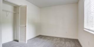 The Lily The Lily Gallery 12