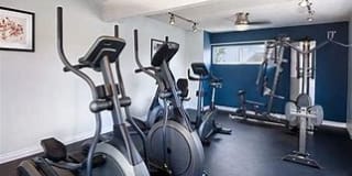 Santa Monica Palms Gallery 2