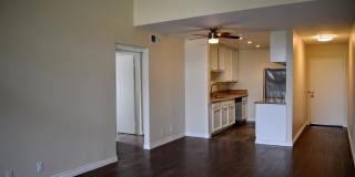 1010 Raleigh Apartments Gallery 11