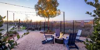 Cyrene at Meadowlands Gallery 42