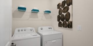 230 Palm Drive Gallery 23