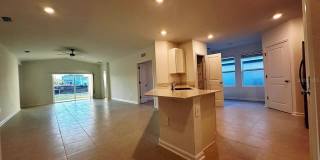 339 PUMA LOOP Gallery 12