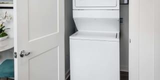 The Statesman Gallery 8