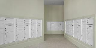 Summerall Gallery 49