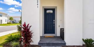 2441 DUBAI Street Gallery 1