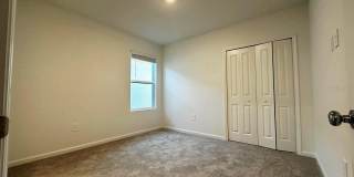 339 PUMA LOOP Gallery 28