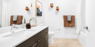 Swell Gallery 9