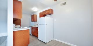 The Canopy Gallery 23