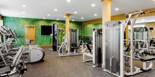 The Green at Bloomfield Gallery 17