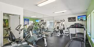 Sarasota South Gallery 21