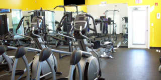 Southwood Square Gallery 7