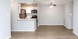 Autumn Town Center Gallery 11