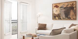 Sonora Gallery 24