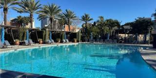 81 Waldorf Gallery 33