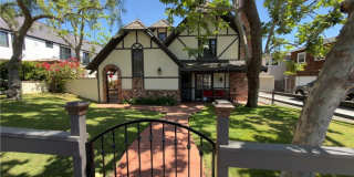 327 Aster Gallery 50