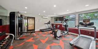 ReNEW Foothills Gallery 26