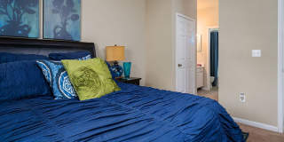 The Falls and Woods of Hoover Gallery 55