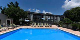 The Element Gallery 35