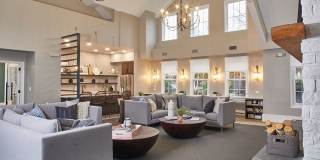 Spark Bloomfield Spark Bloomfield Gallery 7