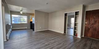 Close to Stapleton - Anschutz - DIA - Renovated 1 Bedroom With Balcony Gallery 1