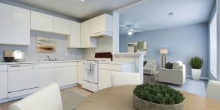 Metro 5514 Gallery 19